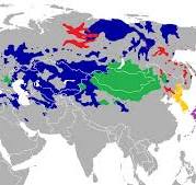 The "Altaic Language Family" was ultimately discarded as unproven, but this map shows the complexity and width that a Language Family can reach.