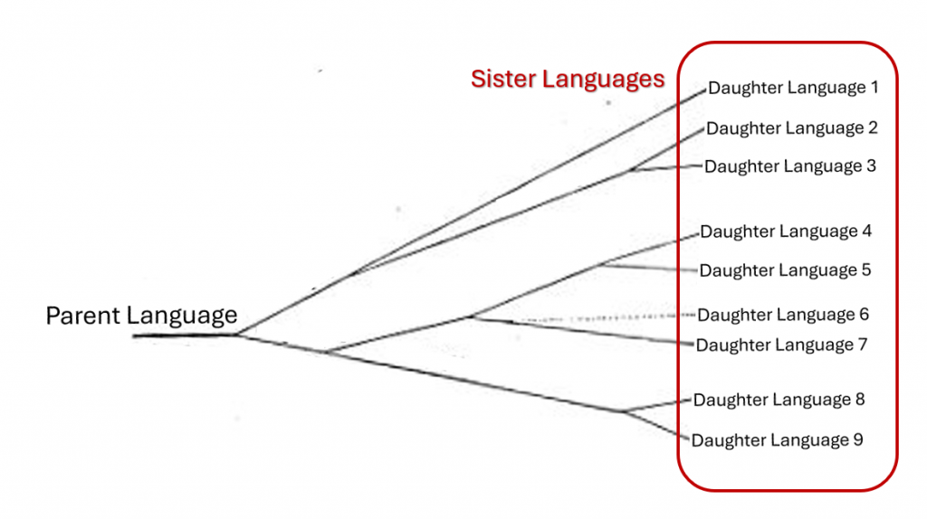 Visual representation of "family relationships" among Languages.